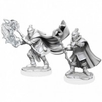 Hobgoblin Wizard and Druid Male - Critical Role Unpainted Miniatures - W1